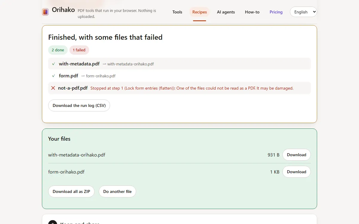 A report with one failed file
